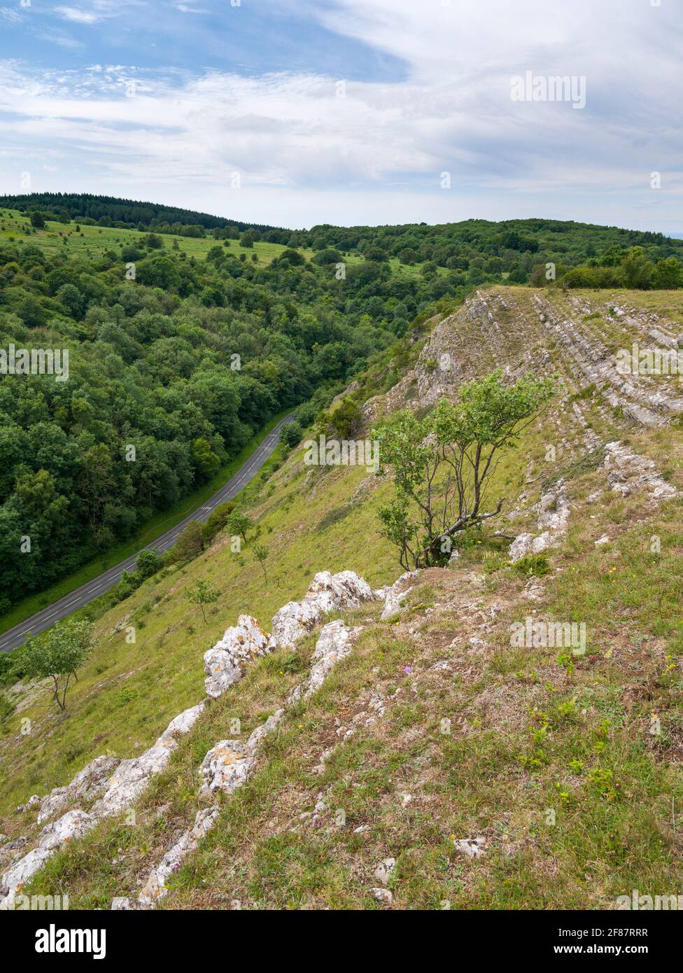 The carboniferous limestone cliffs above Burrington Combe on the northern slopes of the Mendip Hills, North Somerset, England. Stock Photo