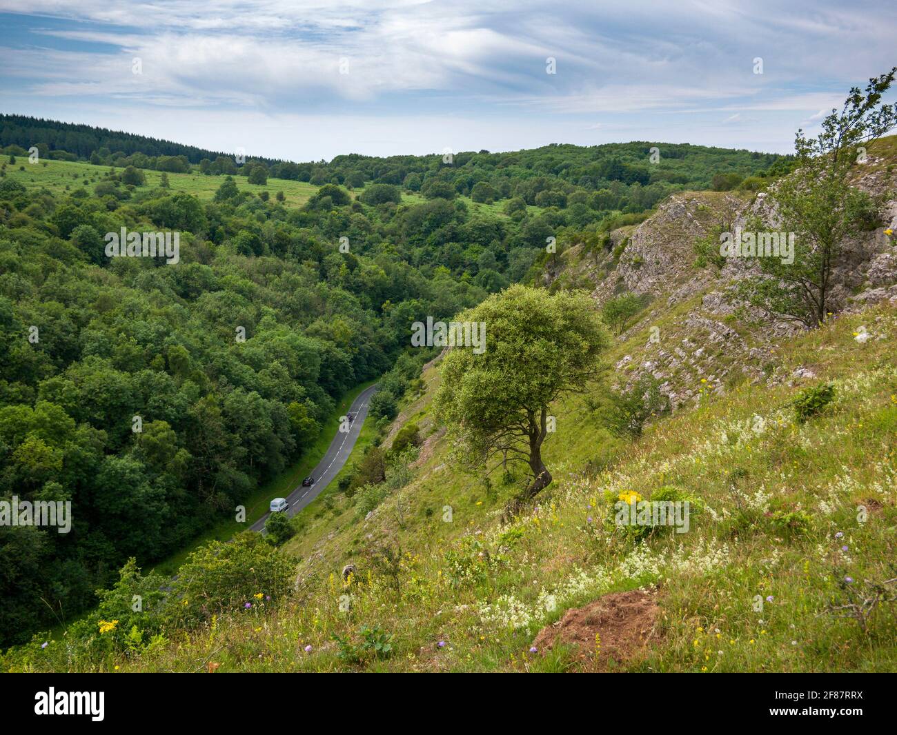 The carboniferous limestone cliffs above Burrington Combe on the northern slopes of the Mendip Hills, North Somerset, England. Stock Photo