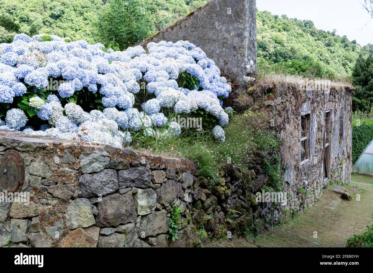 House ruins in Nordeste, Sao Miguel island, Azores Stock Photo Alamy
