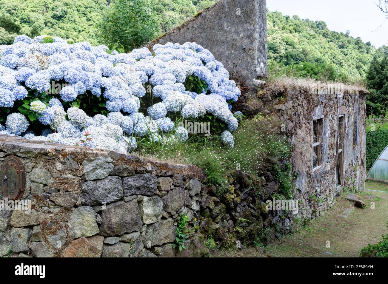 House ruins in Nordeste, Sao Miguel island, Azores Stock Photo