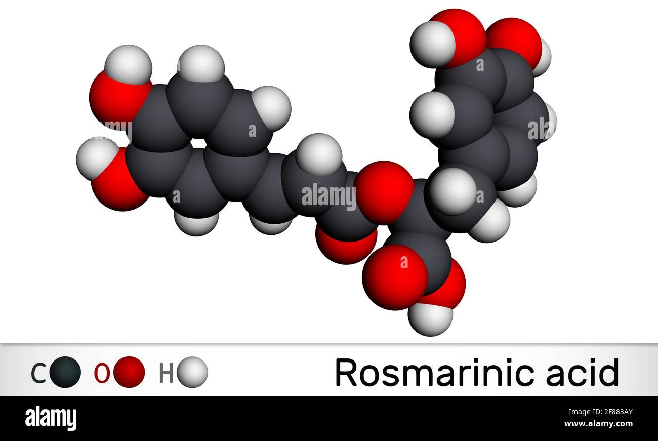 Rosmarinic acid, molecule. It is polyphenol, phenylpropanoid, monocarboxylic acid, non-steroidal anti-inflammatory drug, antioxidant, serine proteinas Stock Photo