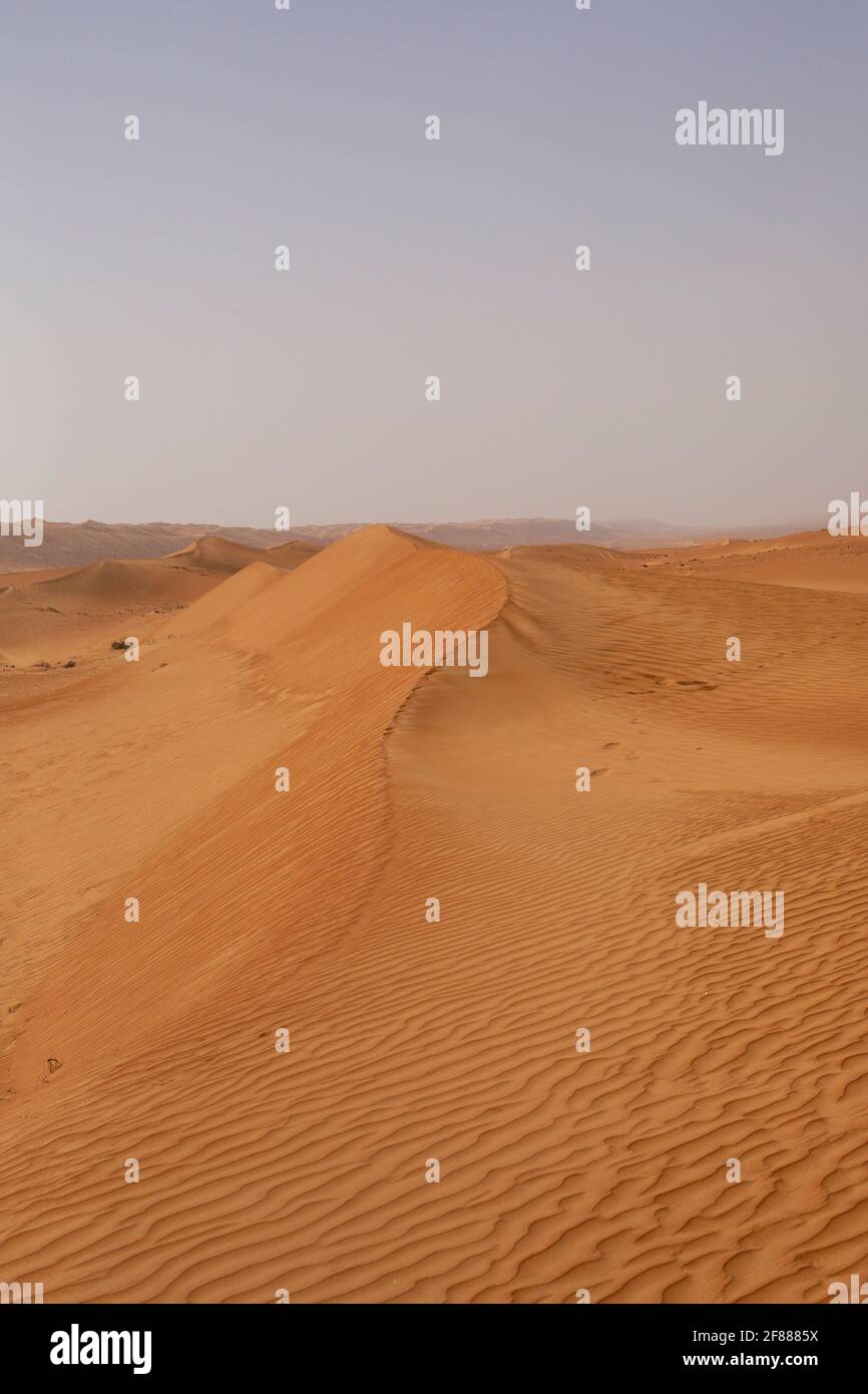 Dune ridge in desert Oman Stock Photo