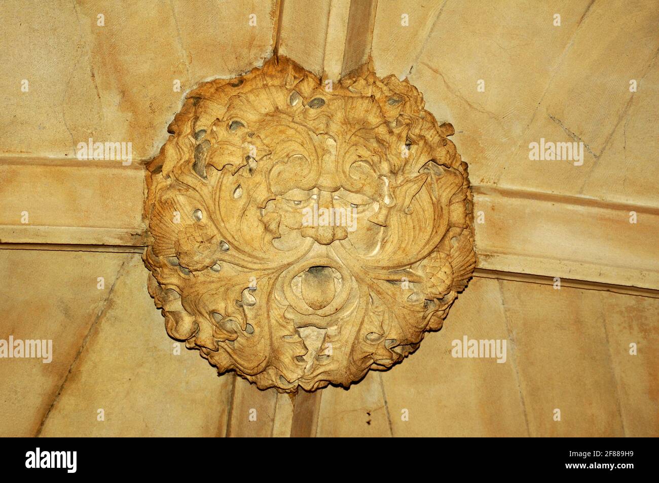 Sculpture of Jack-in-the-green, or The Green Man, in the ceiling of the main entrance of Mansfield College, Oxford. Stock Photo