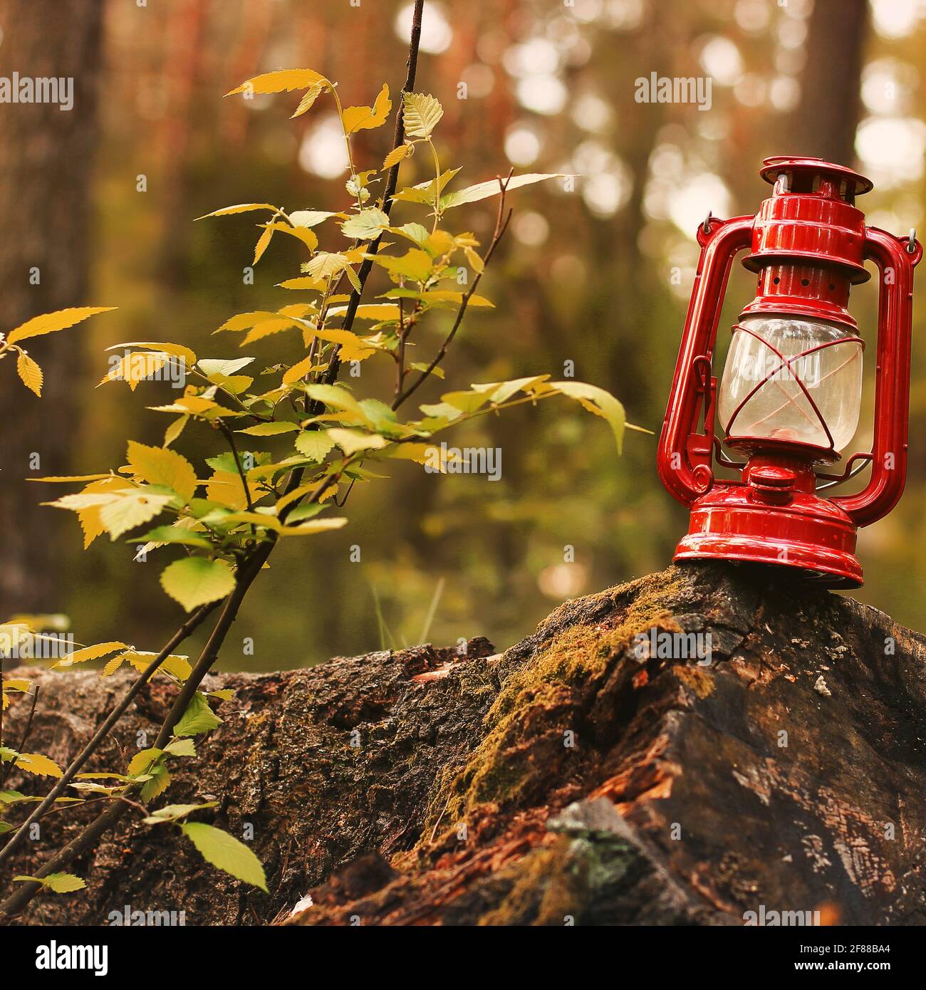 Old kerosene lanterns hanging hi-res stock photography and images - Alamy