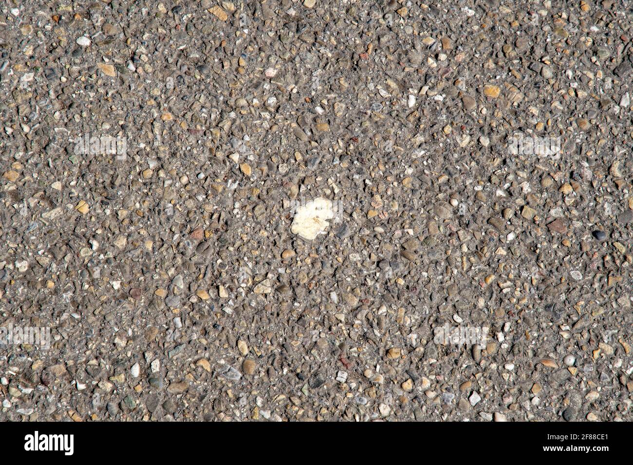 Chewing gum on the asphalt Stock Photo - Alamy