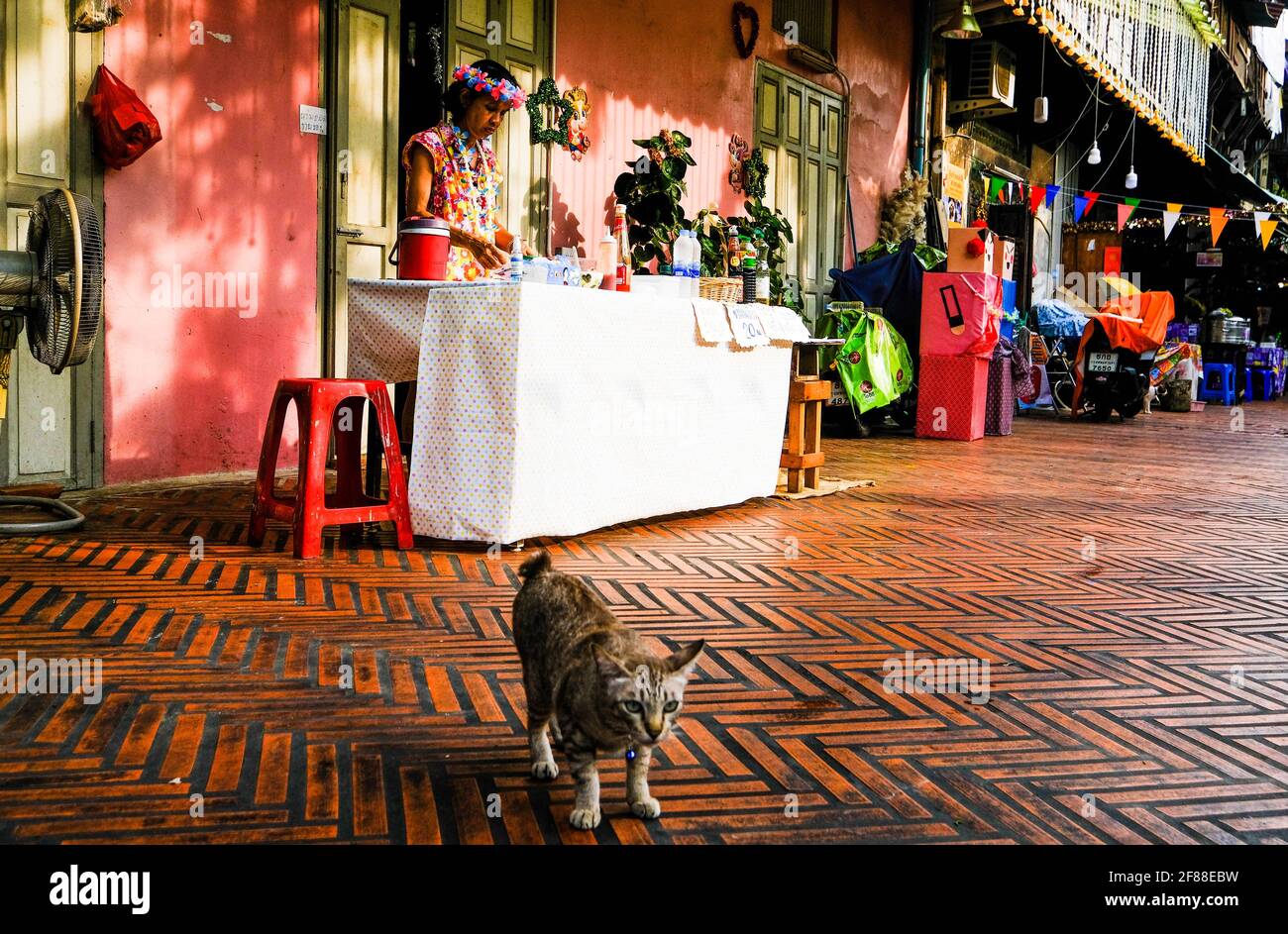 A tabby cat stares into space in front of a drinks stall run by a Thai woman in colorful attire at Khlong One And in Bangkok, Thailand Stock Photo