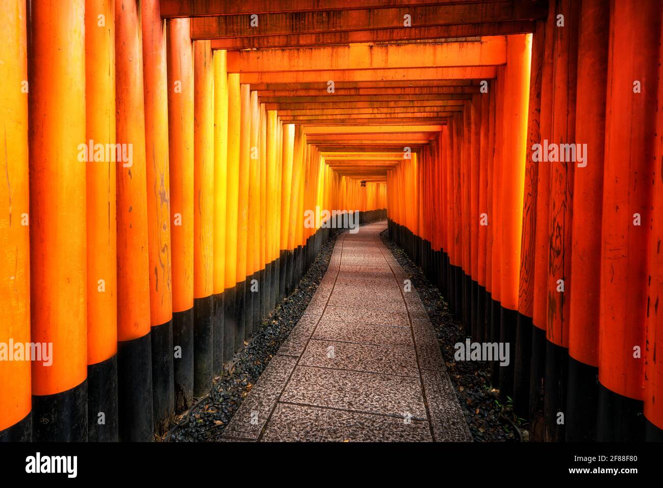 Red Torii gates in Fushimi Inari Shrine in Kyoto, Japan. It is the famous landmark and tourist travel destination of Kyoto. Stock Photo