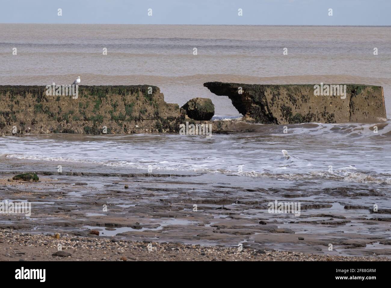 breached, broken sea defences Walton on the naze, tendring, Essex England Stock Photo