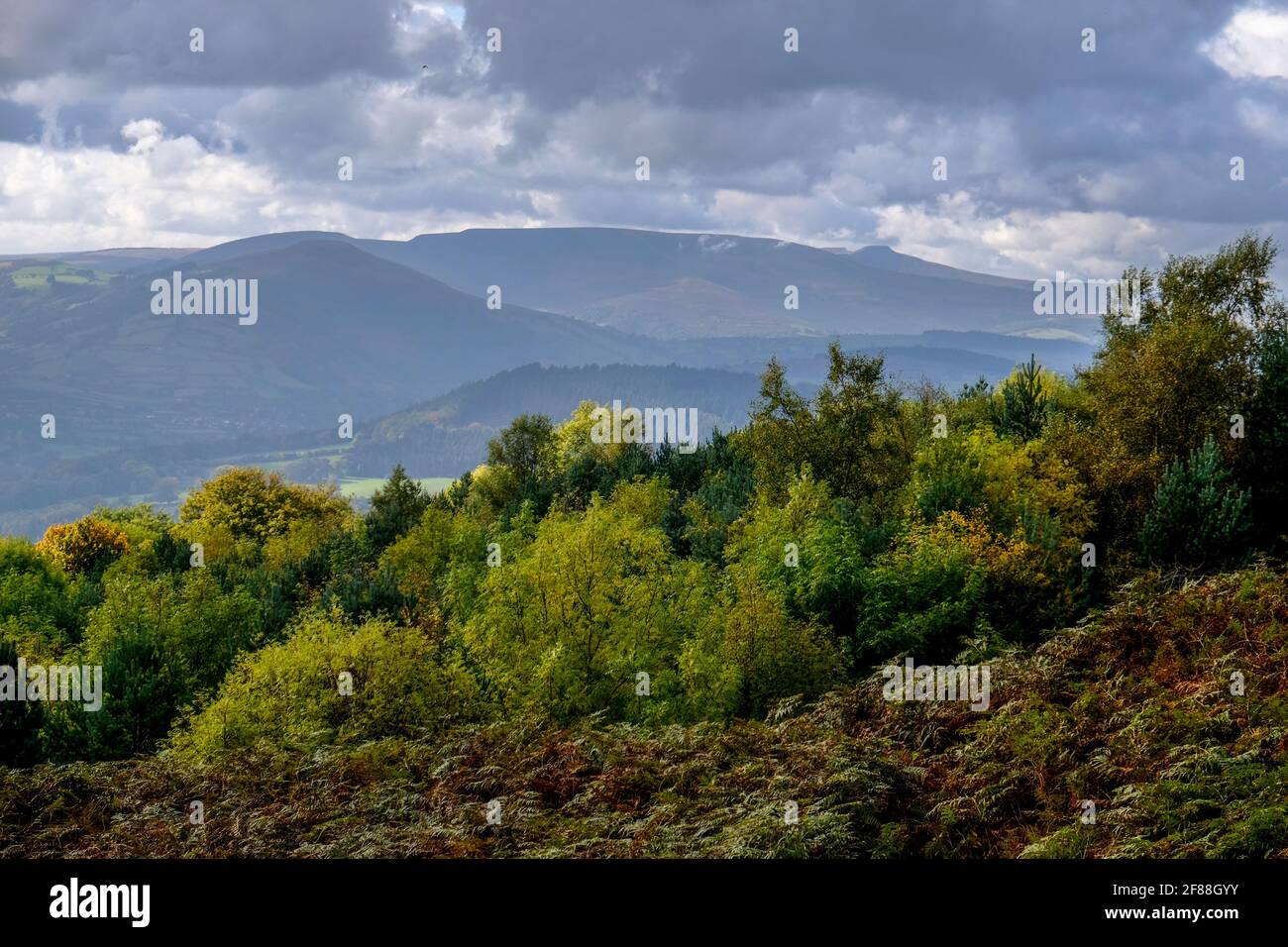 Black Mountains, Wales Stock Photo Alamy