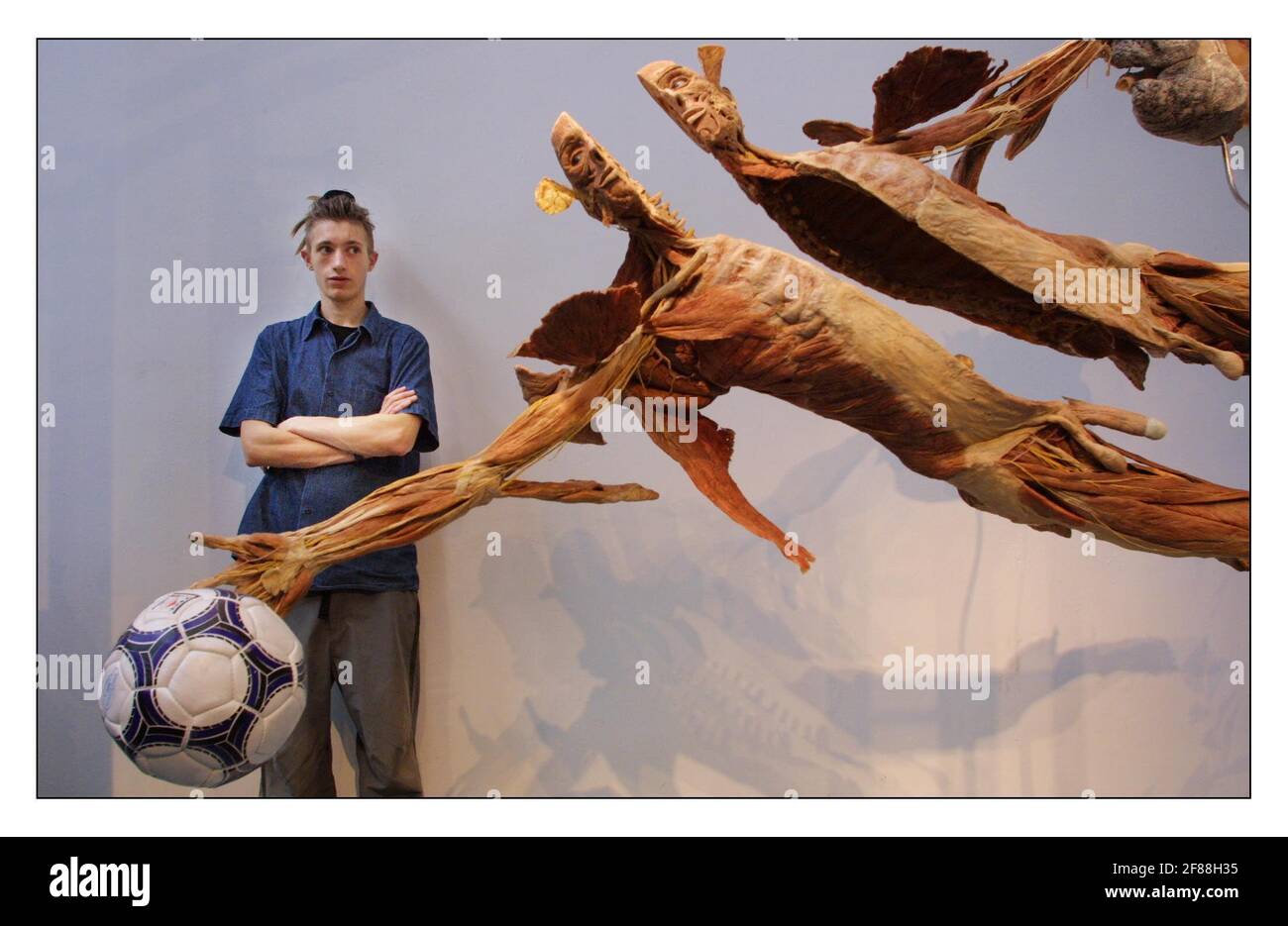 Bodyworlds......Members of the public who have agreed to donate their bodies to be plastinated by Gunther von Hagens inventor of the plastination process.Colin Hill (17) student from Leeds. pic David Sandison 12/8/2002 Stock Photo