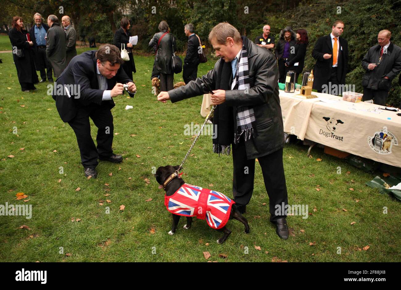 Westminster Dog Show..... M.Ps and their pets compete in the