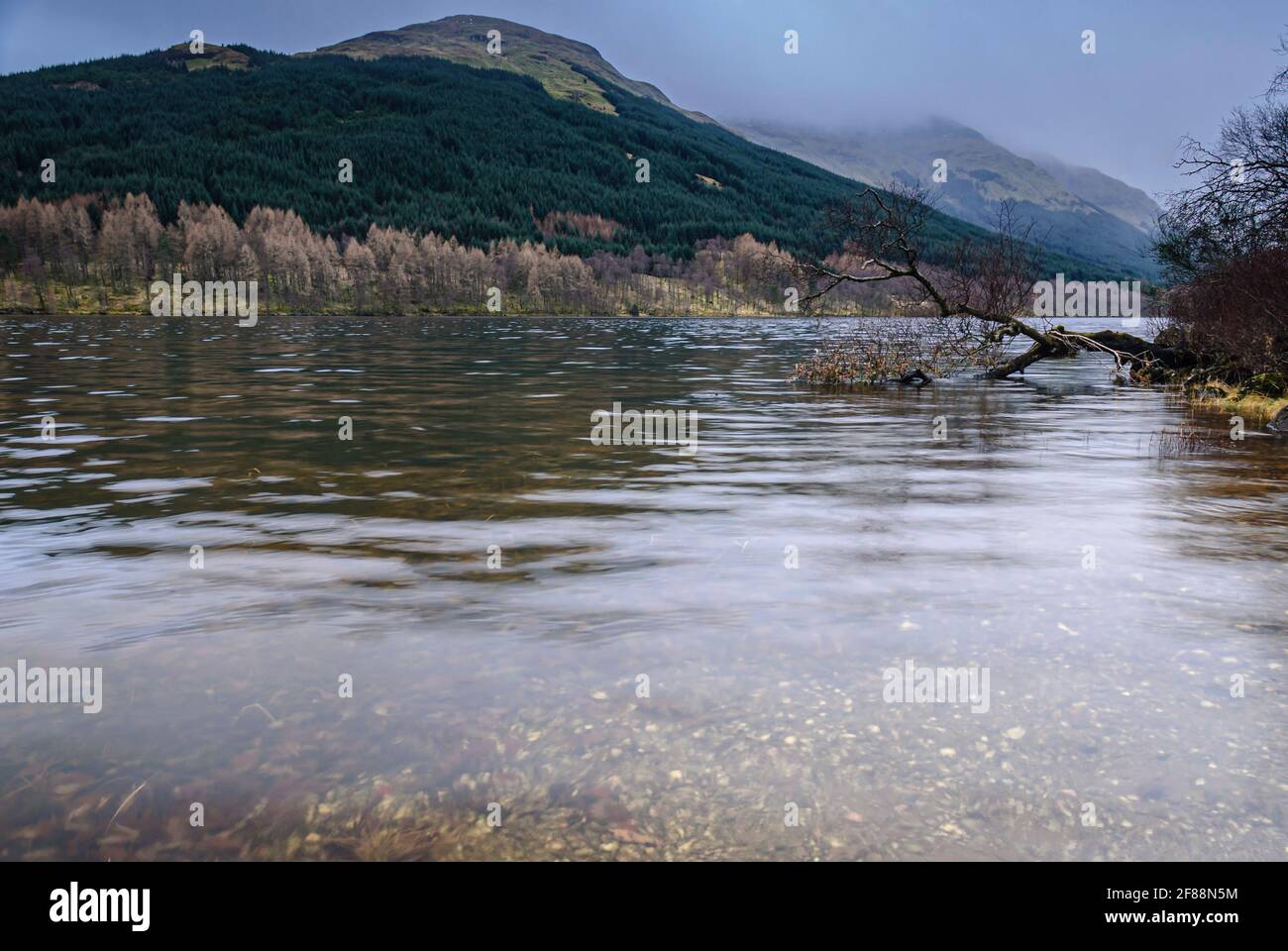 A winter 3 shot HDR image of an overcast Loch Voil with fallen tree near Balquhidder in Perthshire, Scotland. 22 December 2008 Stock Photo