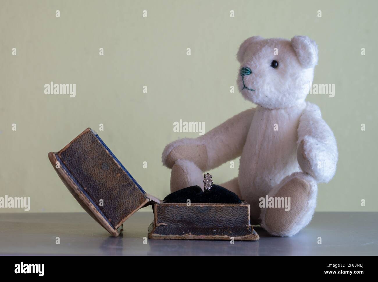 Teddy bear diamond ring shop
