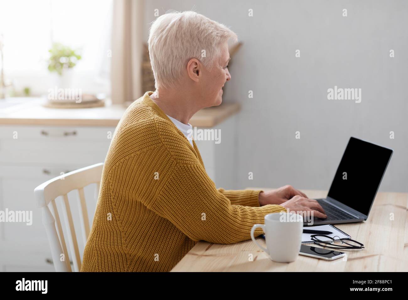 Side view of elderly lady using laptop with blank screen Stock Photo