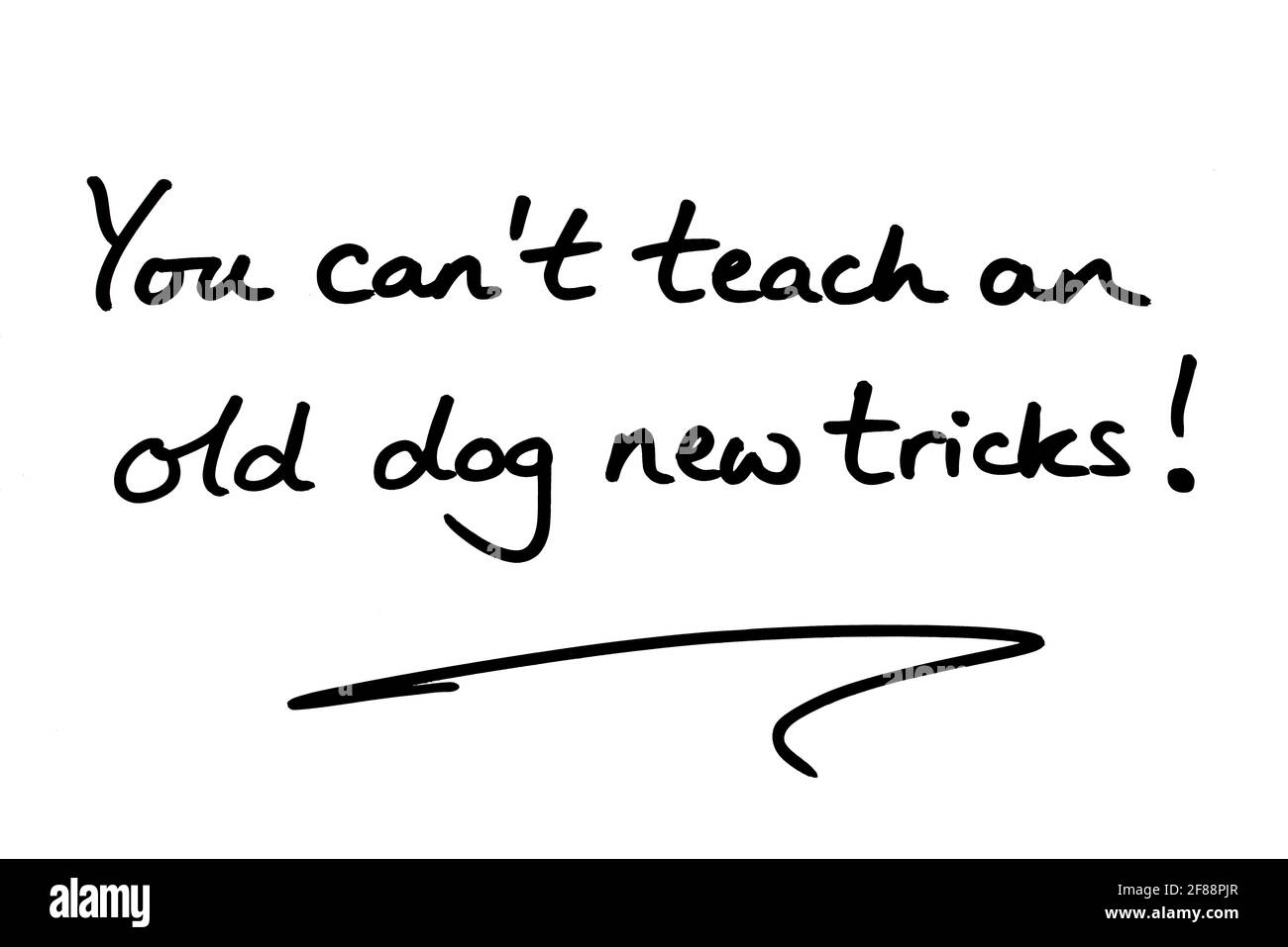 You cant teach an old dog new tricks! handwritten on a white background. Stock Photo
