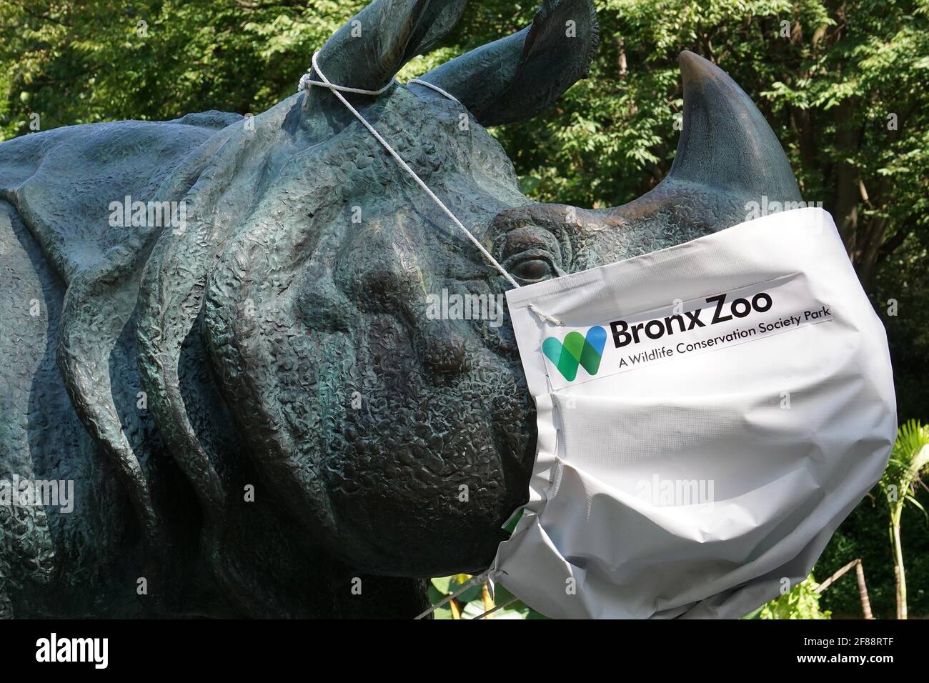 Bronx NY 20200904Bronx Zoo Finally Fully Reopens to Guests After