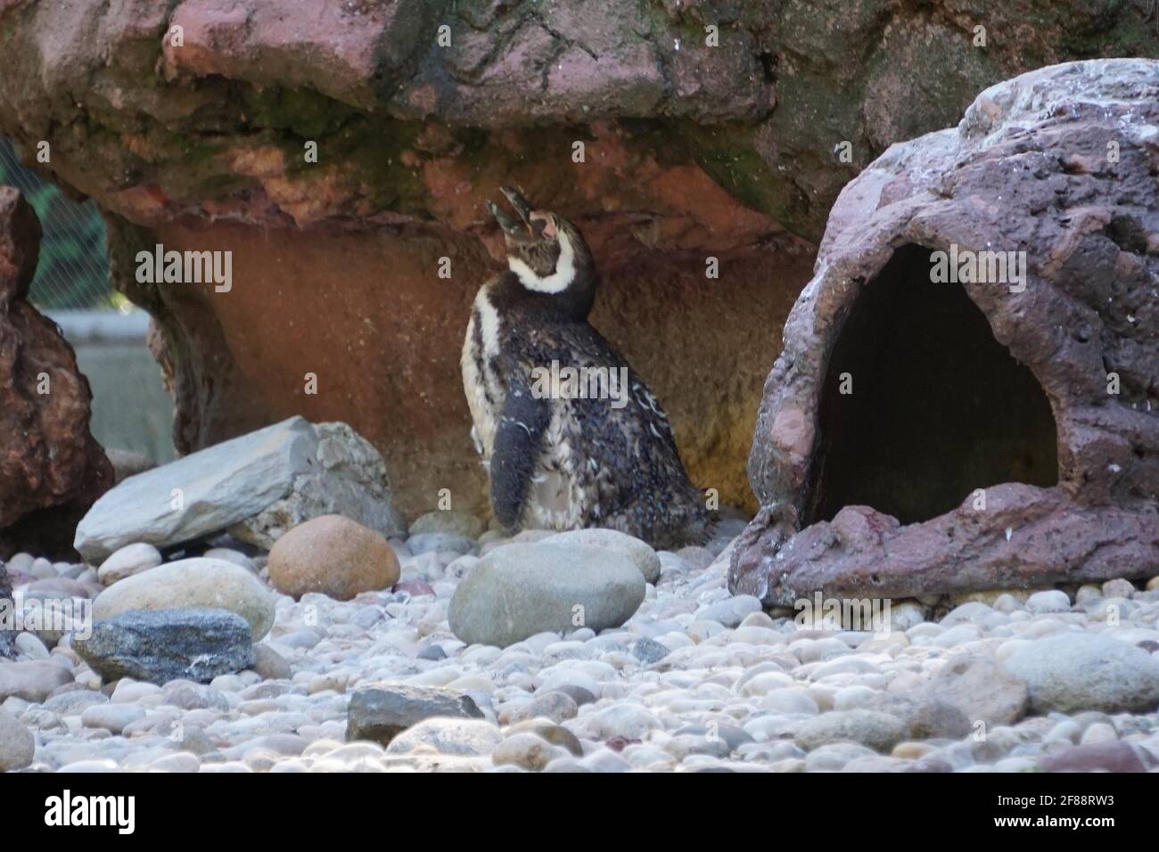 Bronx NY 20200904Bronx Zoo Finally Fully Reopens to Guests After