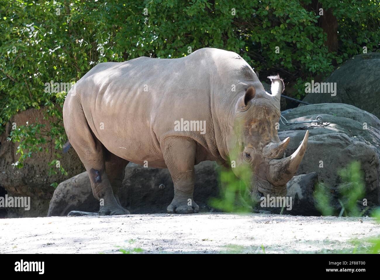 Bronx NY 20200904Bronx Zoo Finally Fully Reopens to Guests After