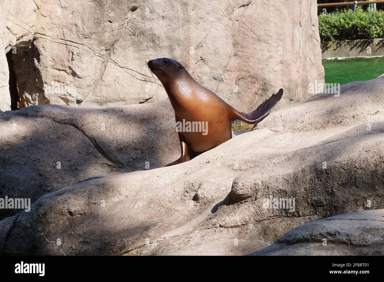 Bronx NY 20200904Bronx Zoo Finally Fully Reopens to Guests After