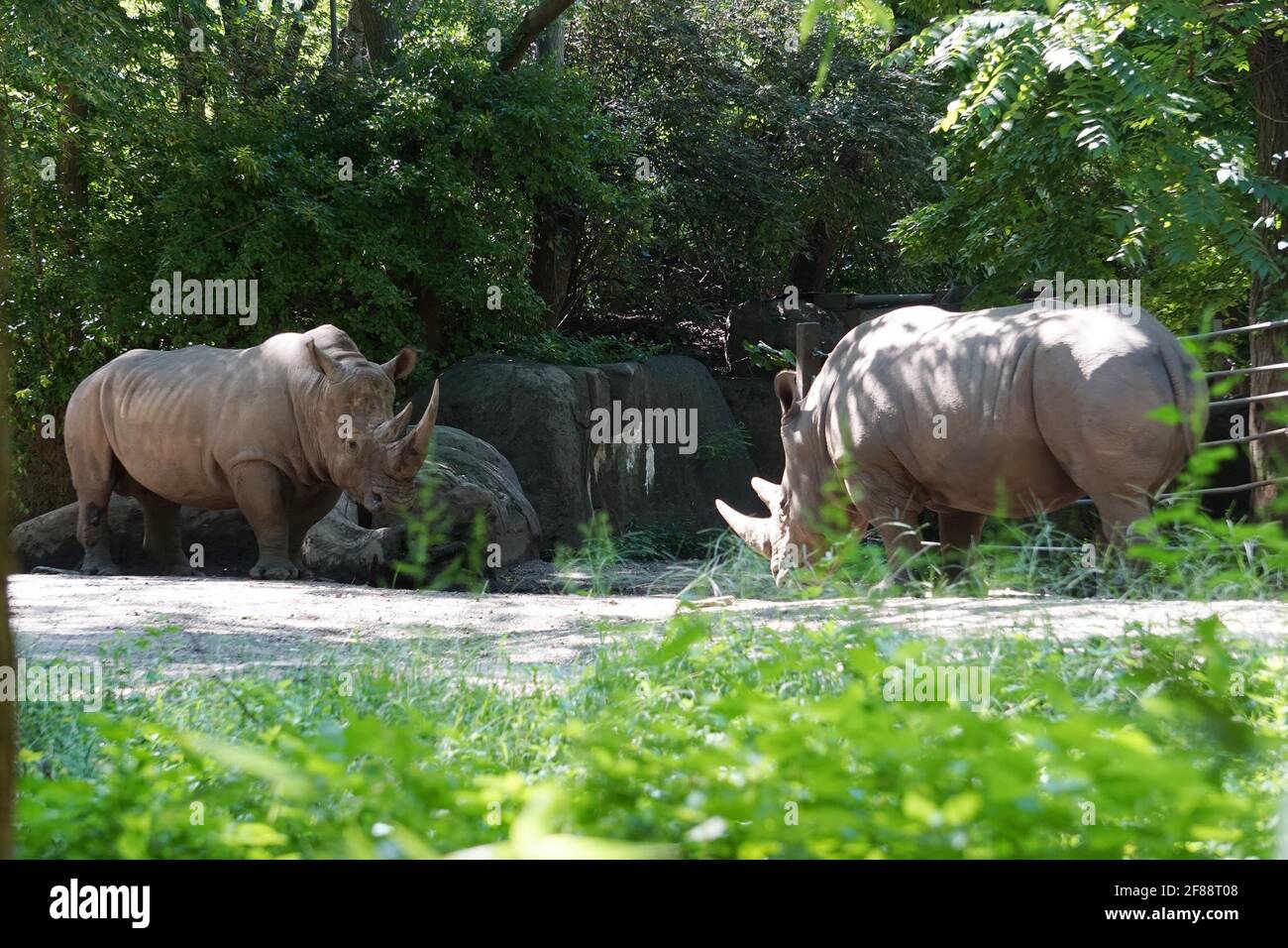 Bronx NY 20200904Bronx Zoo Finally Fully Reopens to Guests After