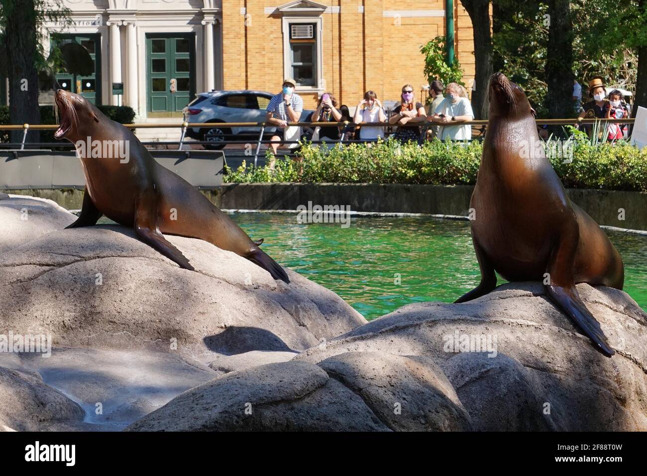 Bronx NY 20200904Bronx Zoo Finally Fully Reopens to Guests After