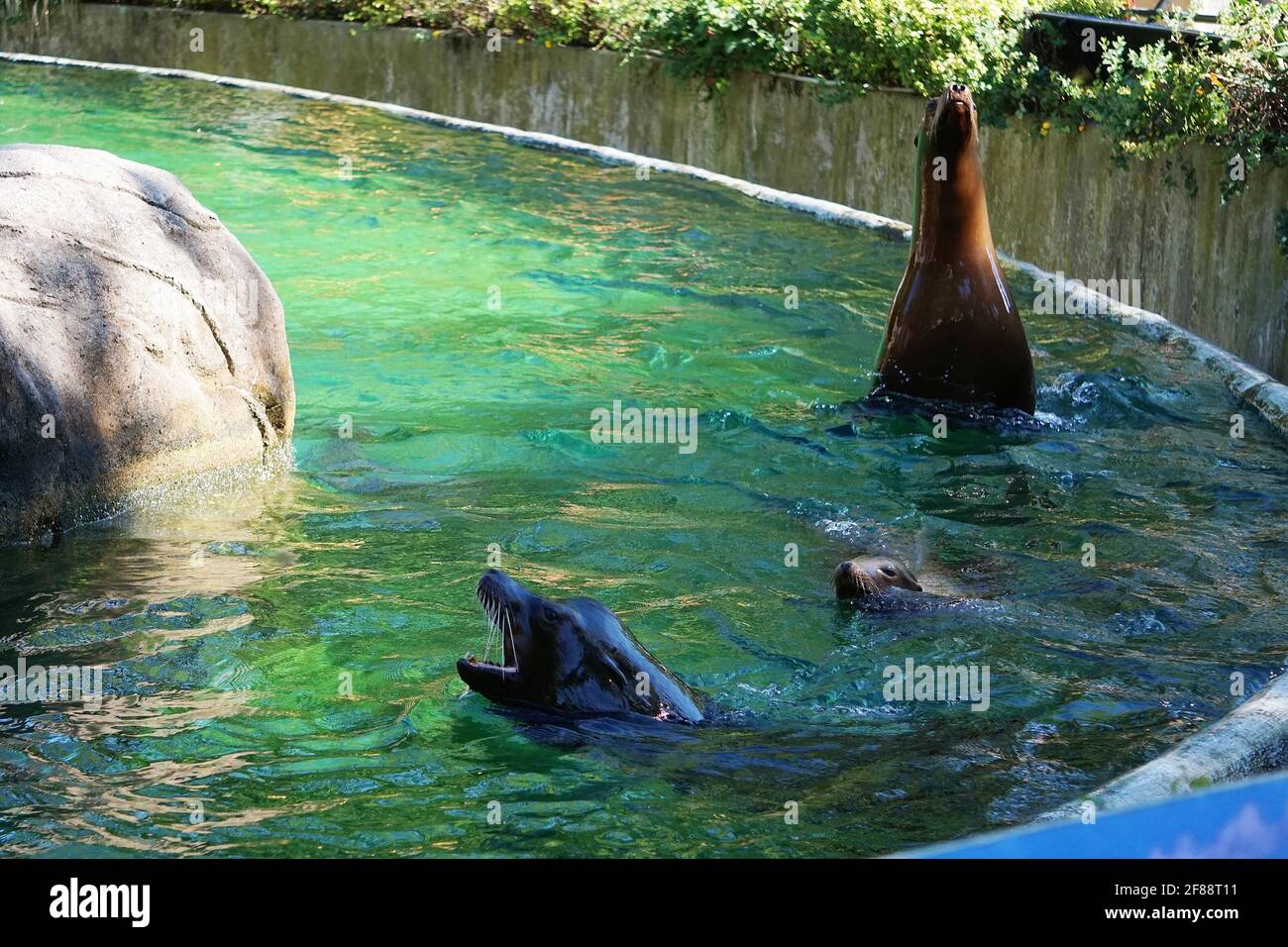 Bronx NY 20200904Bronx Zoo Finally Fully Reopens to Guests After