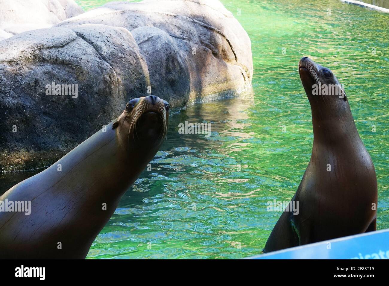 Bronx NY 20200904Bronx Zoo Finally Fully Reopens to Guests After