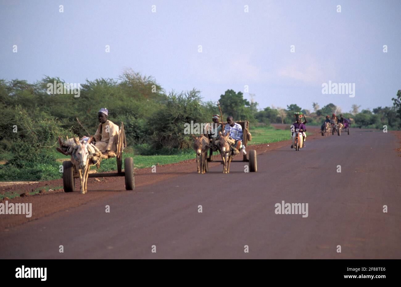 Locals in mule cart along RN6 from Mopti to Djenne, Mali Stock Photo