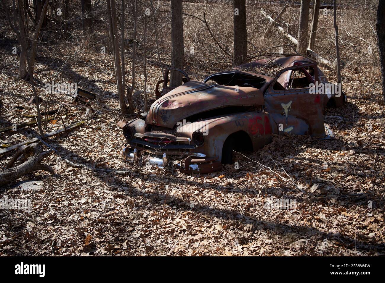 Oldtimer American car wreck abandoned and dumped in the woods. Stock Photo