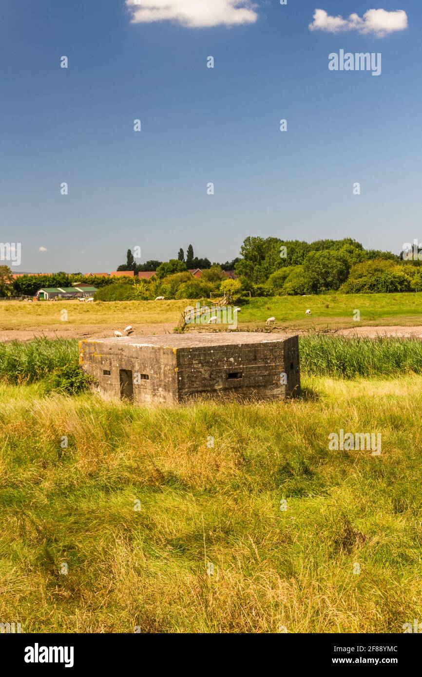 Type 24 WWII Pillbox,, on sunny summer day by River Perret, Bridgewater, Somerset, United Kingdom, portrait. Stock Photo