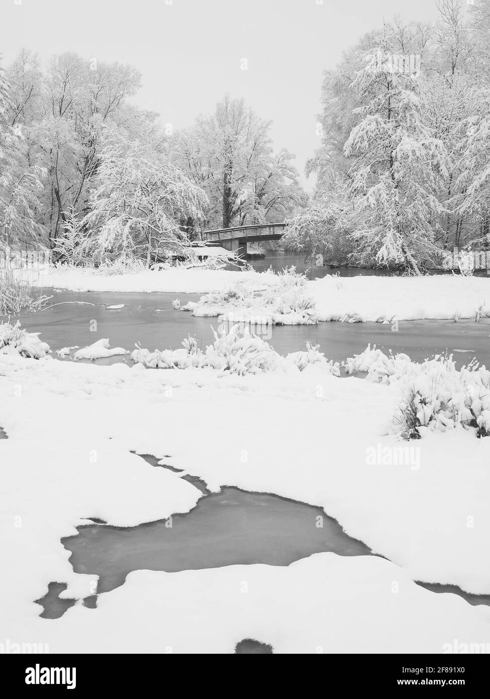 River wetlands with snow cover along the Pegnitz river, Nuremberg, Germany Stock Photo