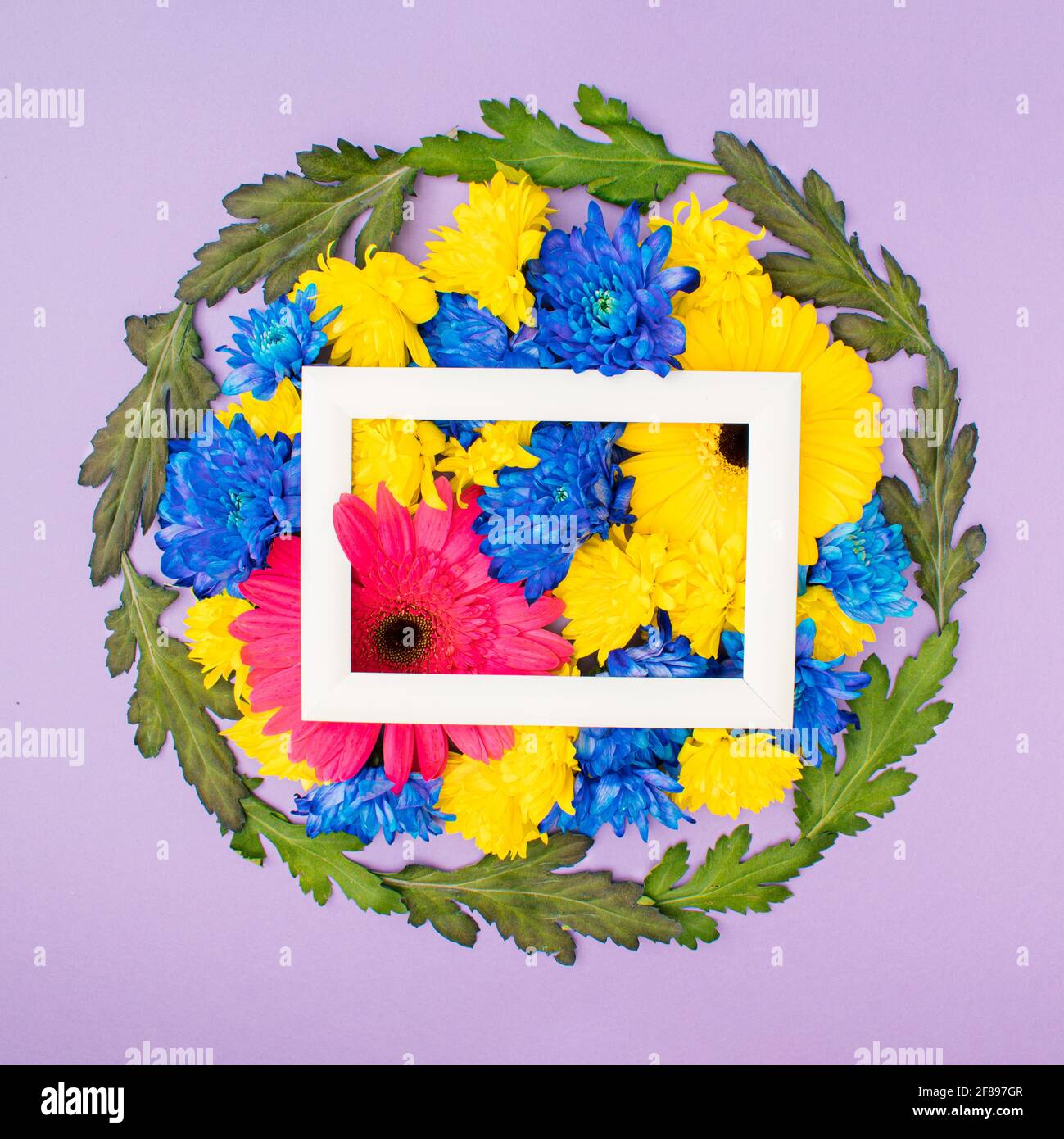 Colorful spring circular flower arrangement. Blue, yellow and pink