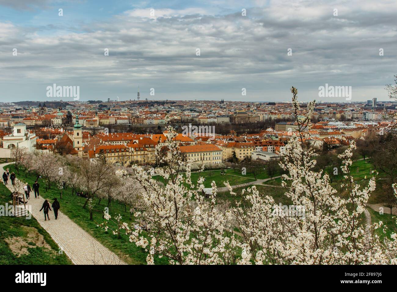 Panoramic aerial view of Prague,Czech republic in spring. Blooming sakura cherry trees on Petrin hill. People walking in city park.Red roofs,TV tower, Stock Photo