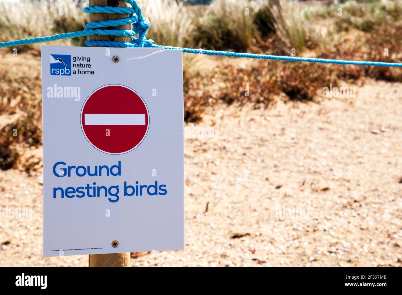 RSPB Ground Nesting Birds sign at Snettisham Beach on the shores of The Wash in Norfolk. DETAILS IN DESCRIPTION. Stock Photo