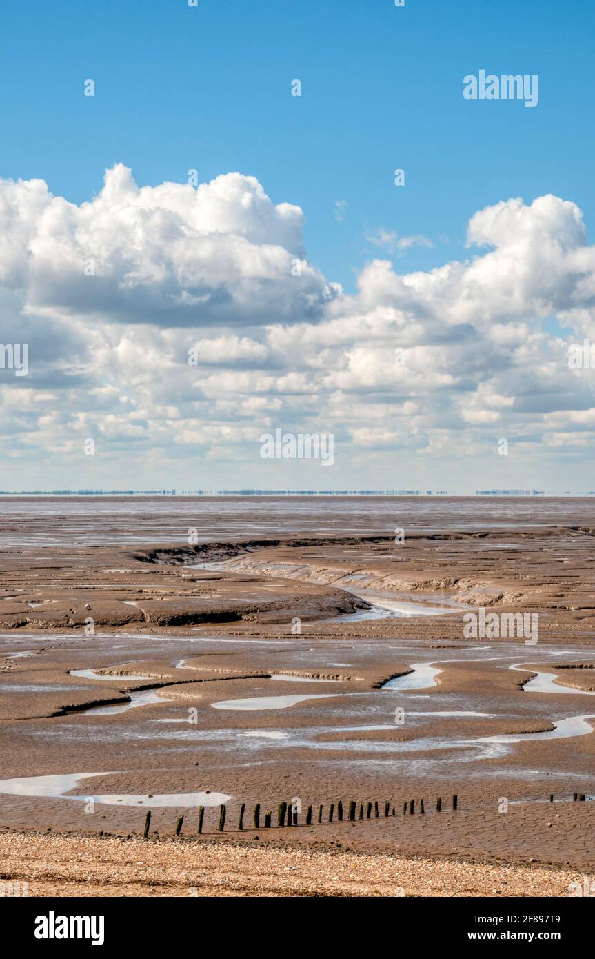 The path of the River Ingol out to sea through the mudflats of The Wash, near Snettisham in Norfolk. Stock Photo