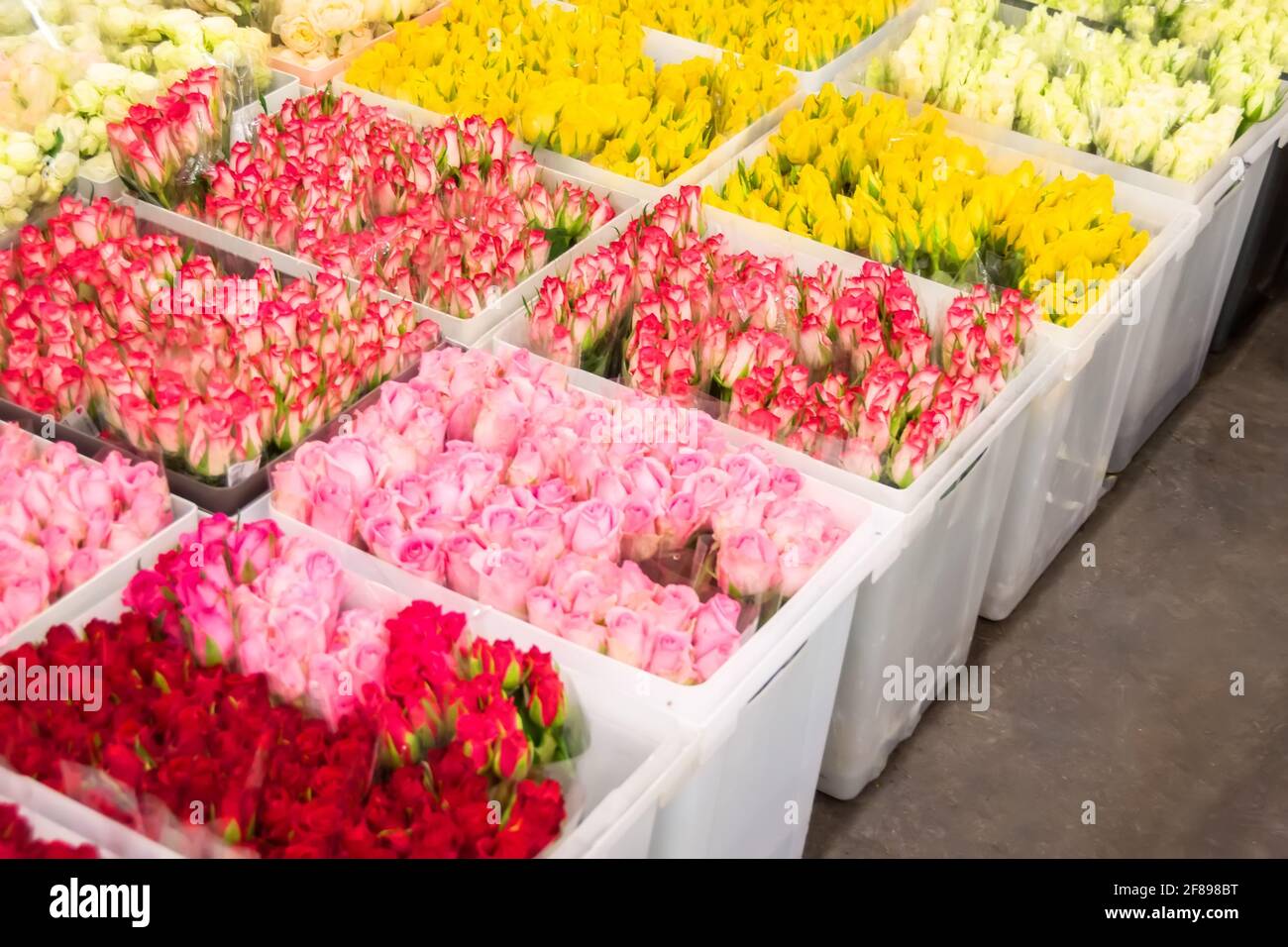 Flower shops hires stock photography and images Alamy