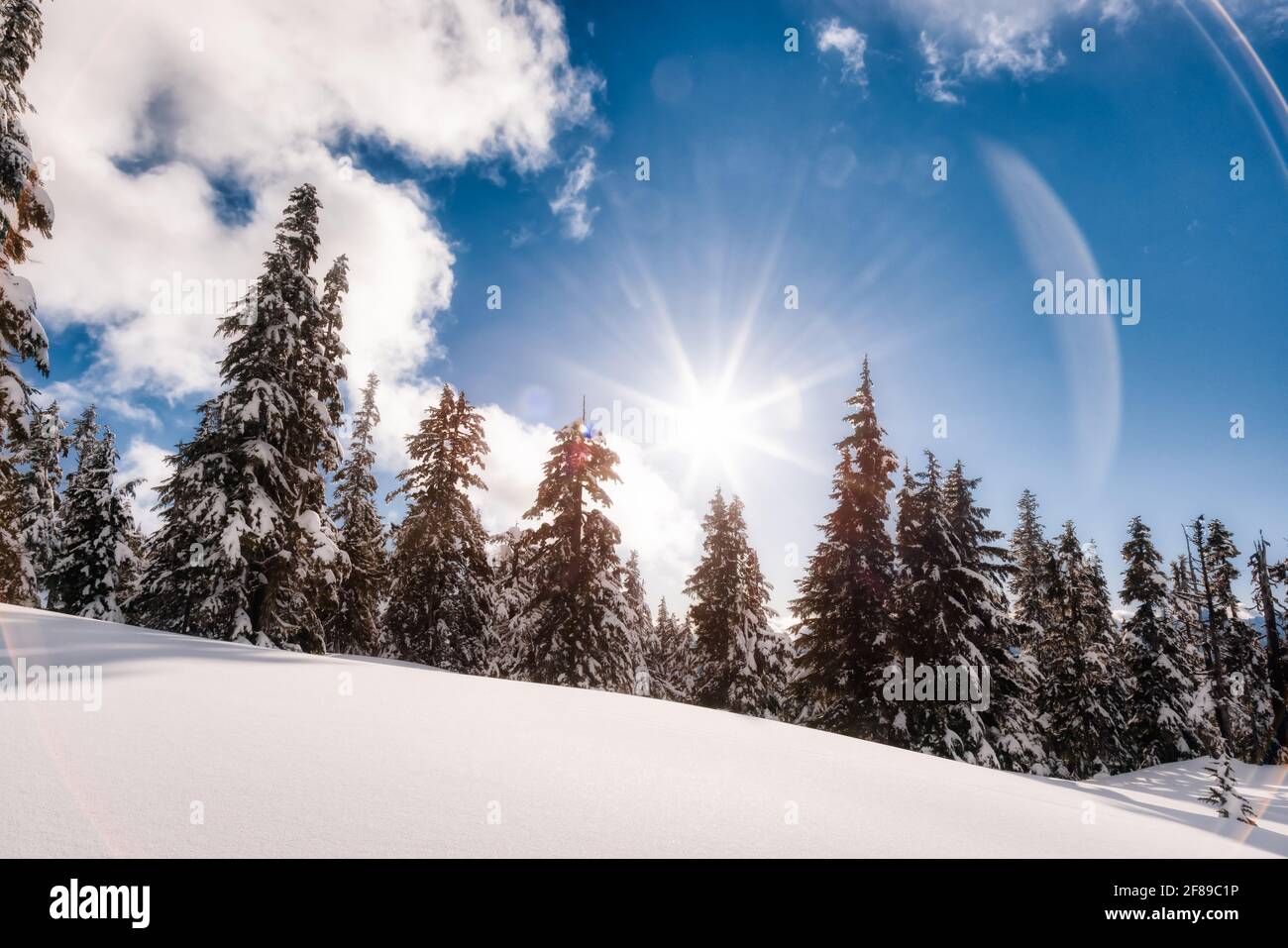 View of Canadian Nature Landscape on top of snow covered mountain Stock Photo