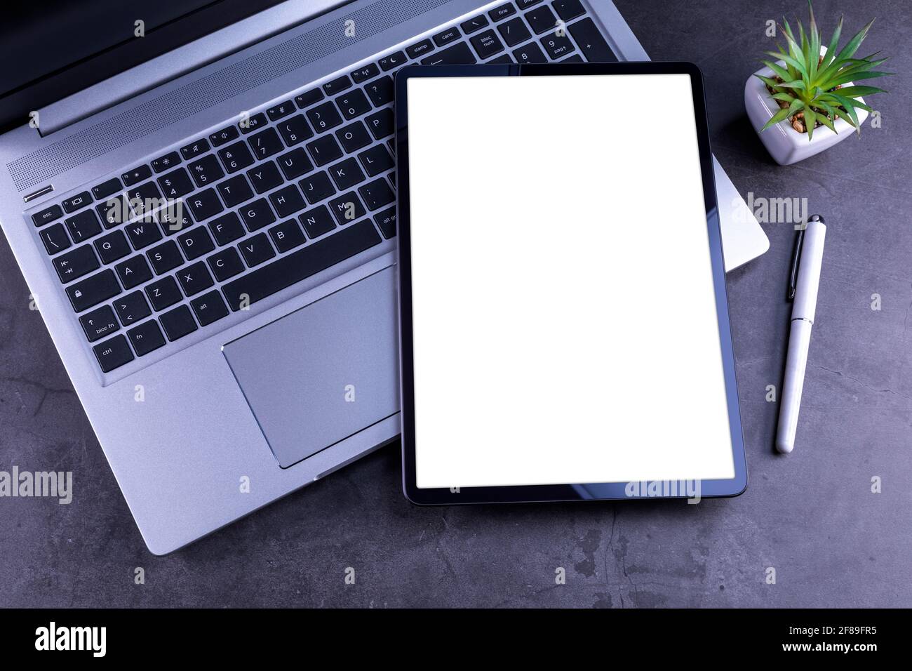 Tablet Pc with white blank screen over silver laptop with pencil, flower on desktop. Stock Photo