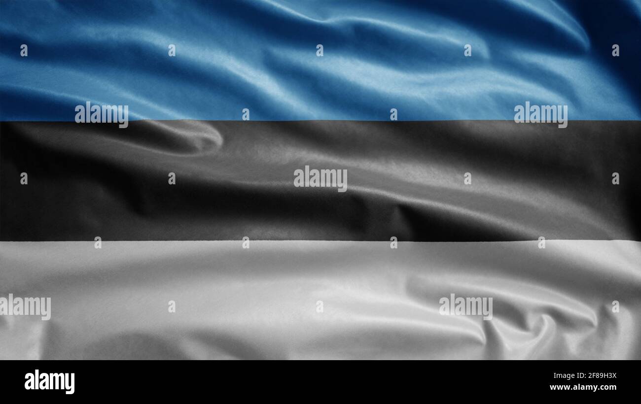 Estonian flag waving in the wind. Close up of Estonia banner blowing ...