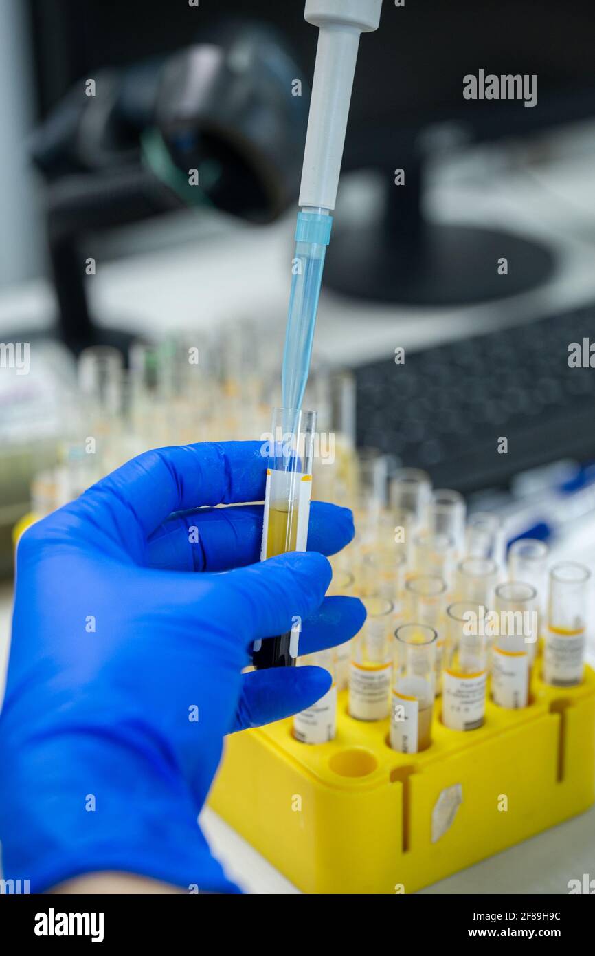 the process of laboratory work in the clinic in the office Stock Photo Alamy
