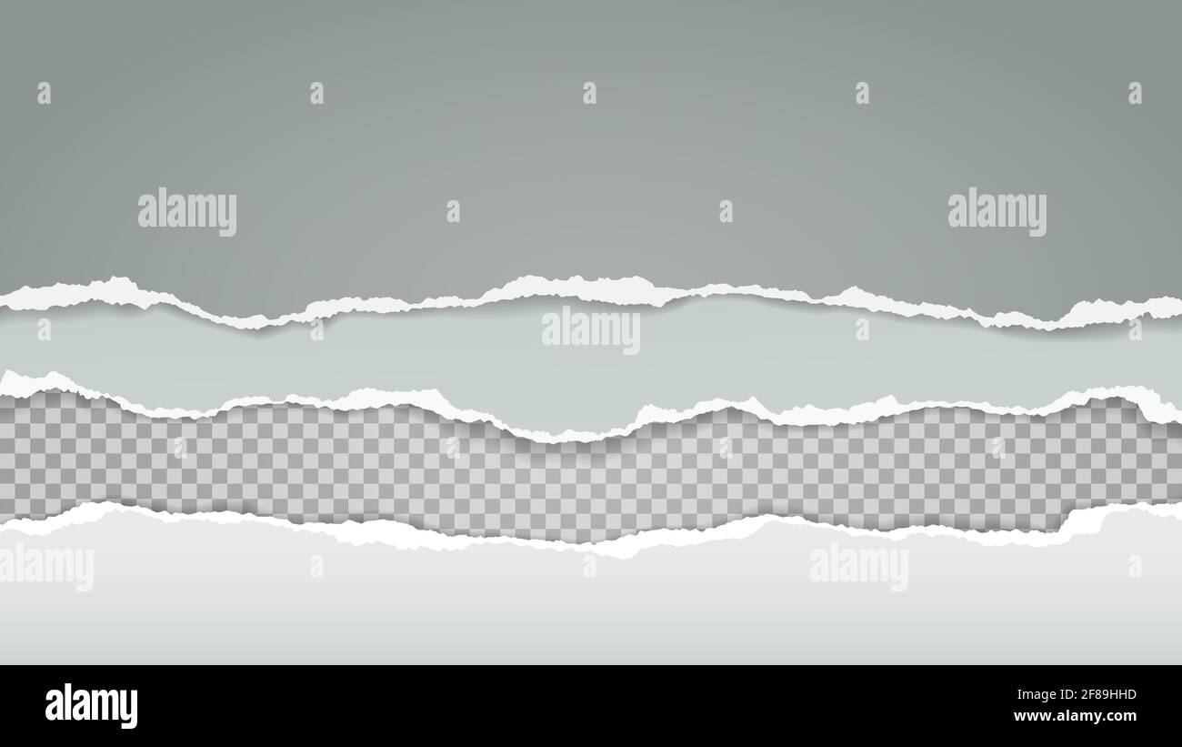 Torn, ripped white and grey paper strips with soft shadow are on ...