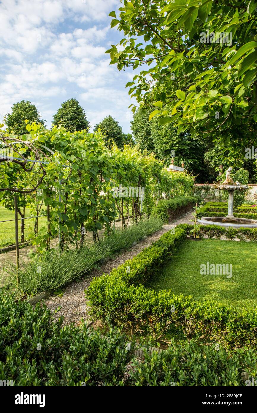 Florence, Italy.  Villa Olmi formal garden.  (For editorial use only) Stock Photo