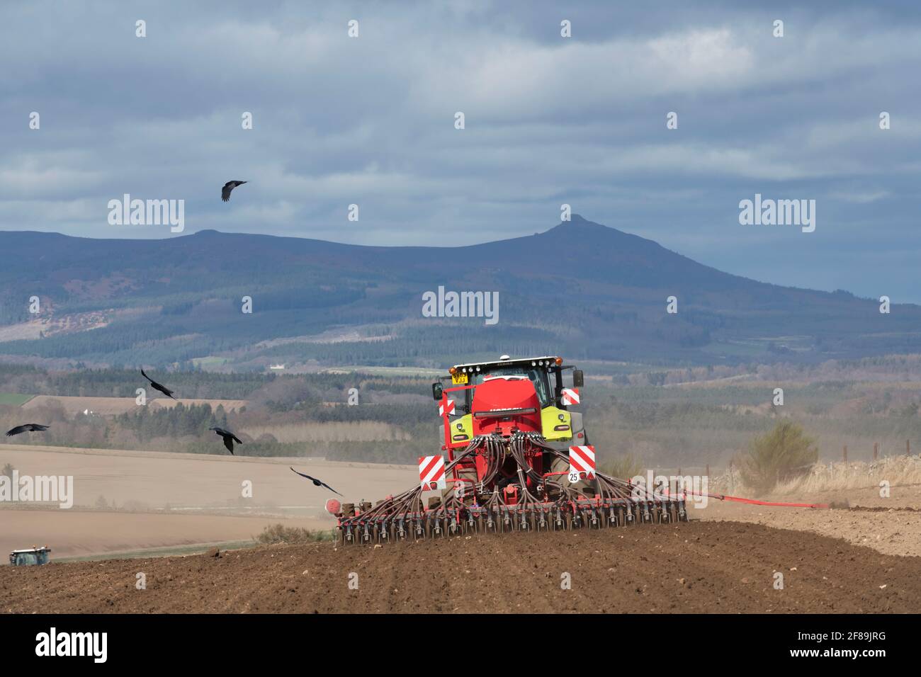 A View From Behind a Horsch Disc Seed Drill Sowing Barley Accompanied by Rooks in an Aberdeenshire Field in Sight of Bennachie Stock Photo