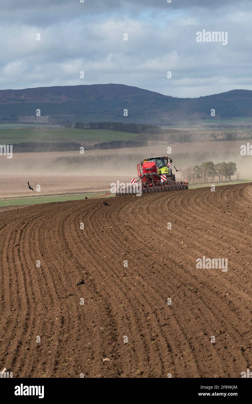 A Disc Seed Drill Sowing Barley in the Aberdeenshire Countryside on a Windy Afternoon Stock Photo