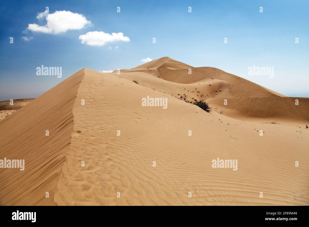 Cerro Blanco sand dune, the highest dunes on the world located near