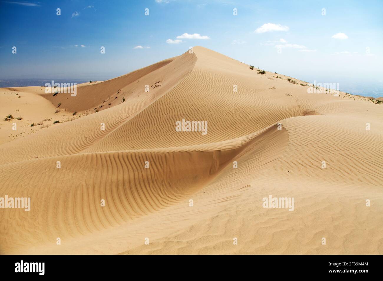 Cerro Blanco sand dune, the highest dunes on the world located near