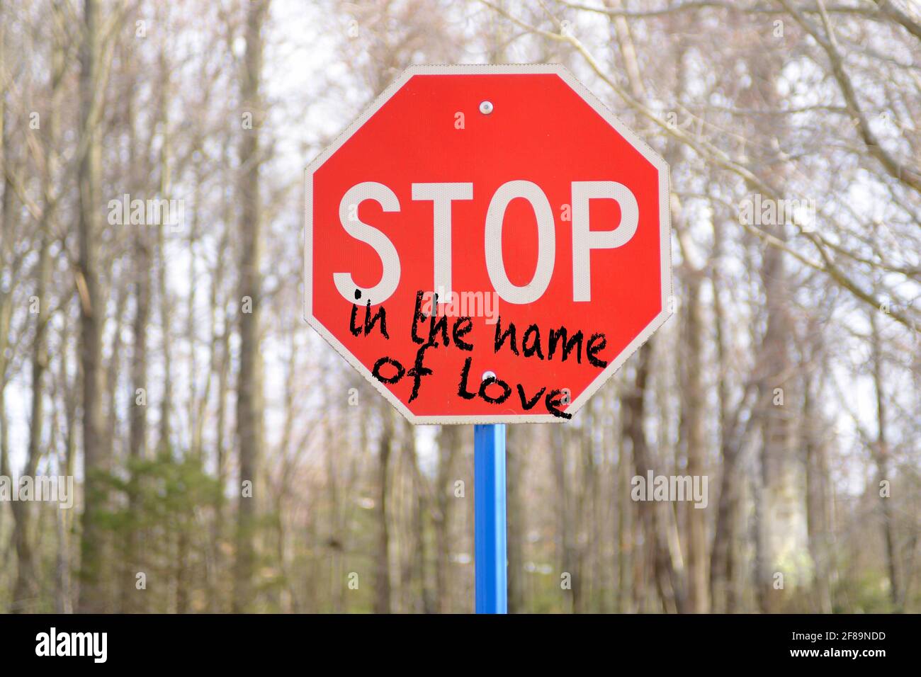 Stop In The Name Of Love