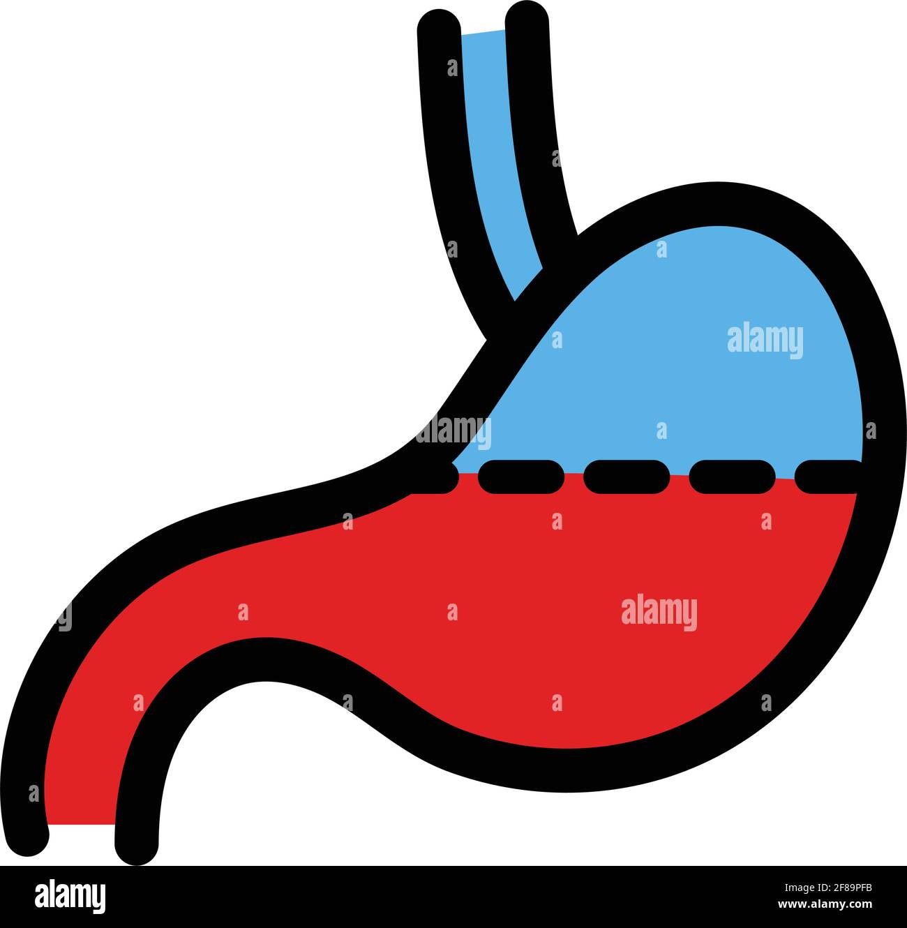 Stomach vector icon. Color symbol and sign vector illustration in simple style. Stock Vector