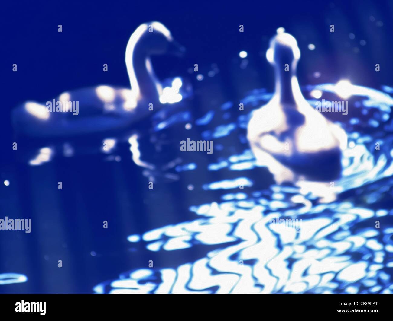 Two small goslings floating on the water surface, blurring and structured artistic pattern in vivid blue hues Stock Photo