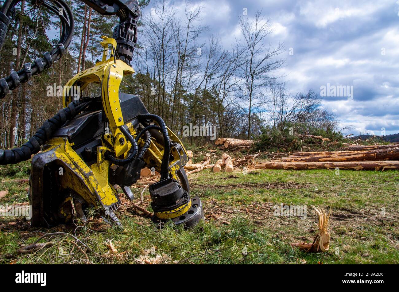 Harvester with logs, forest and cloudy spring sky in the background Stock Photo